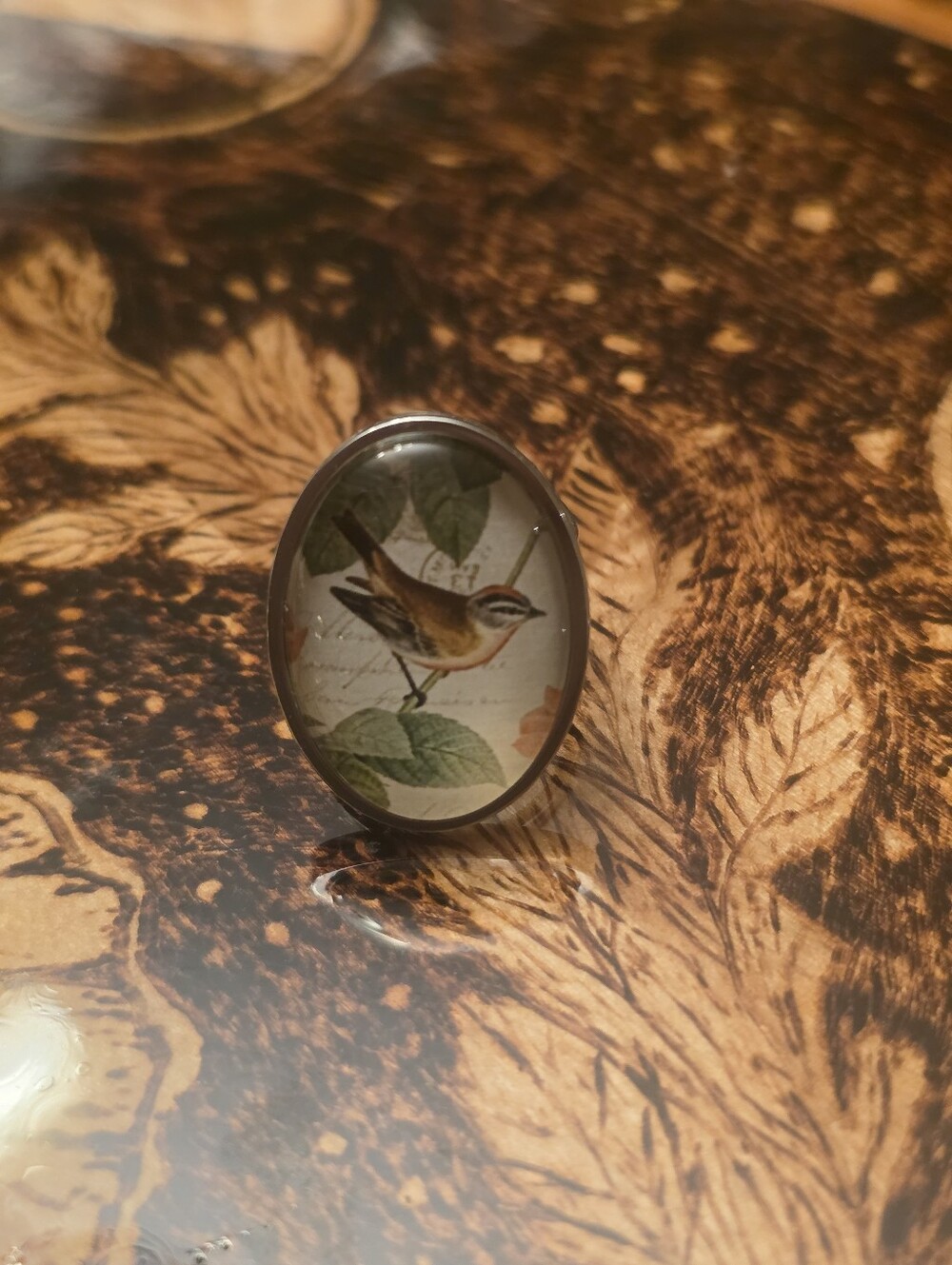 Small Swallow Bird Glass Cabochon In A Silver Tone Adjustable Ring
